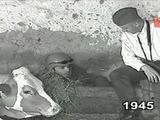 Show Meselation - Udhetimi ne vitin 1945 (Partizanzi)