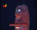 SINGAPORE - Besforti - Promo